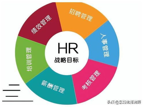 普通本科熱門專業就業冷思考 人力資源管理咨詢服務