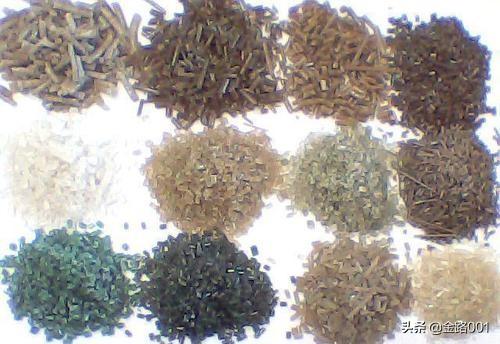 利潤行業(yè)的隱形冠軍 揭秘泡沫造粒機(jī)的商業(yè)潛力